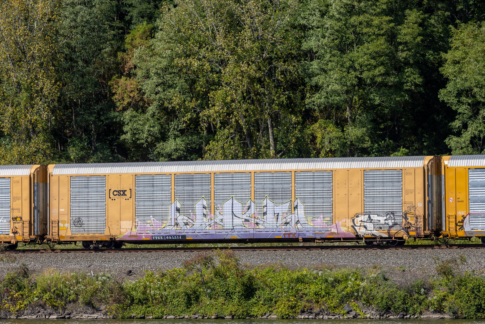 TTGX 695514