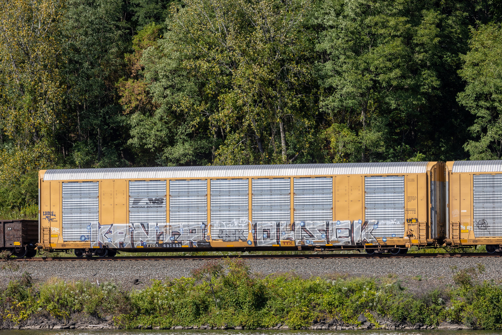 TTGX 697655