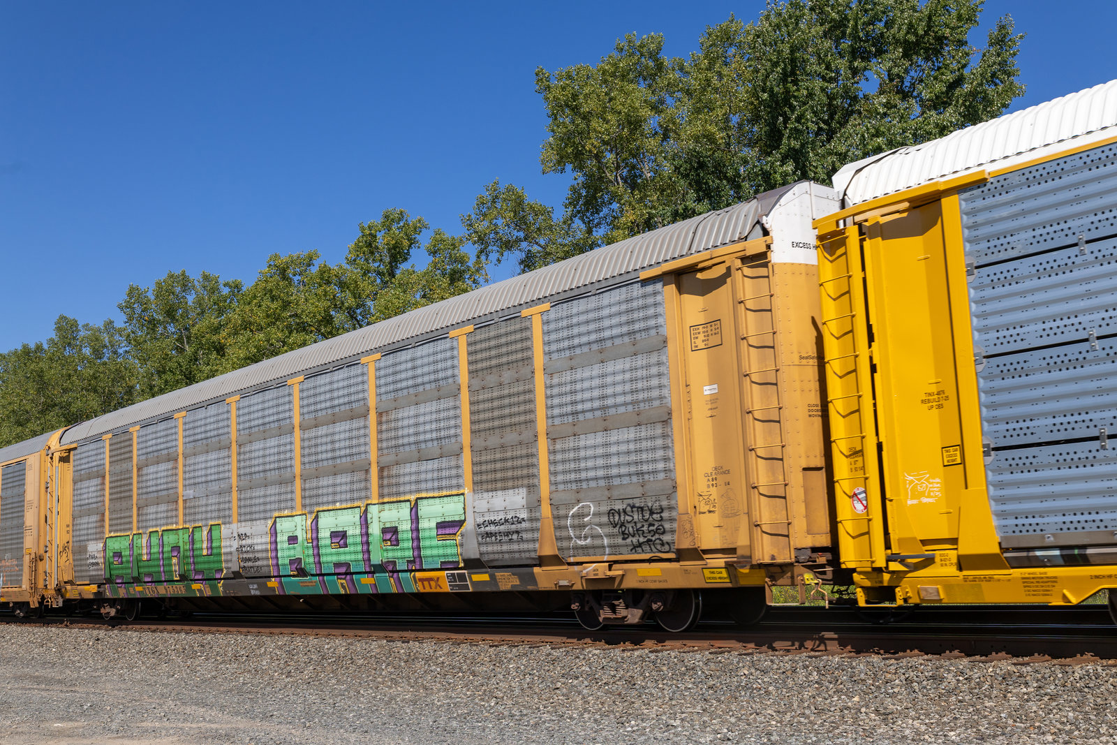 TTGX 975365