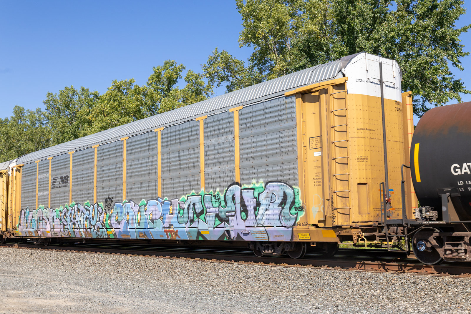 TTGX 707545