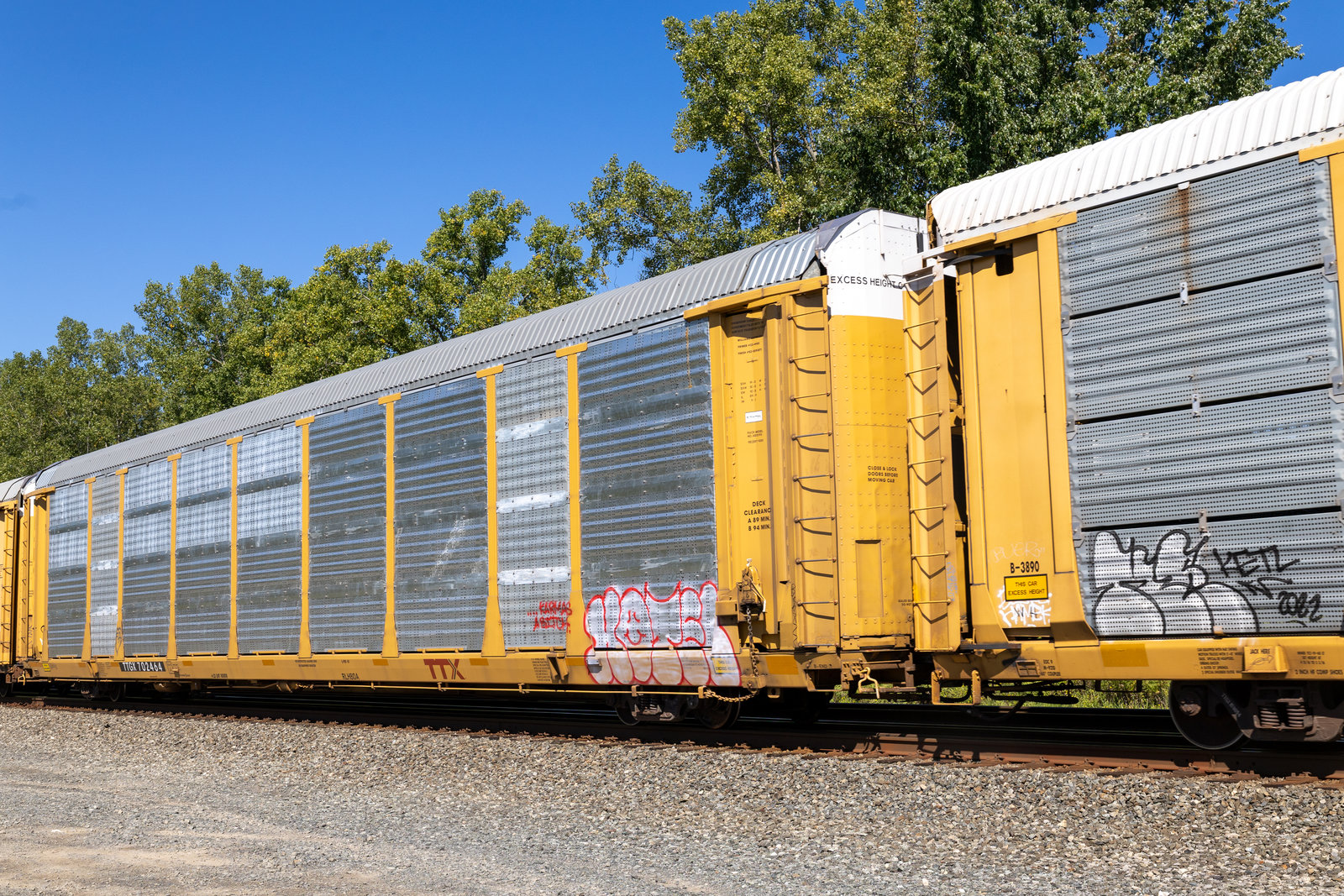 TTGX 702464