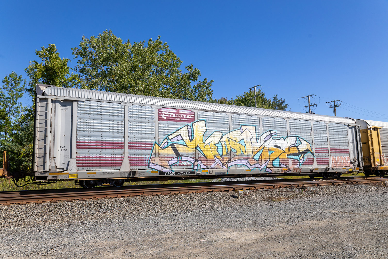 TTGX 705719