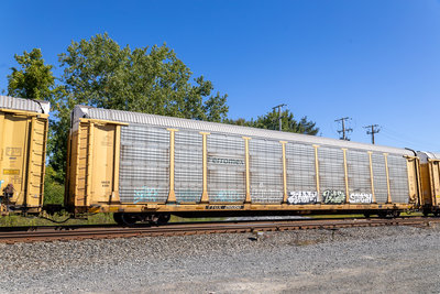 TTGX 255350