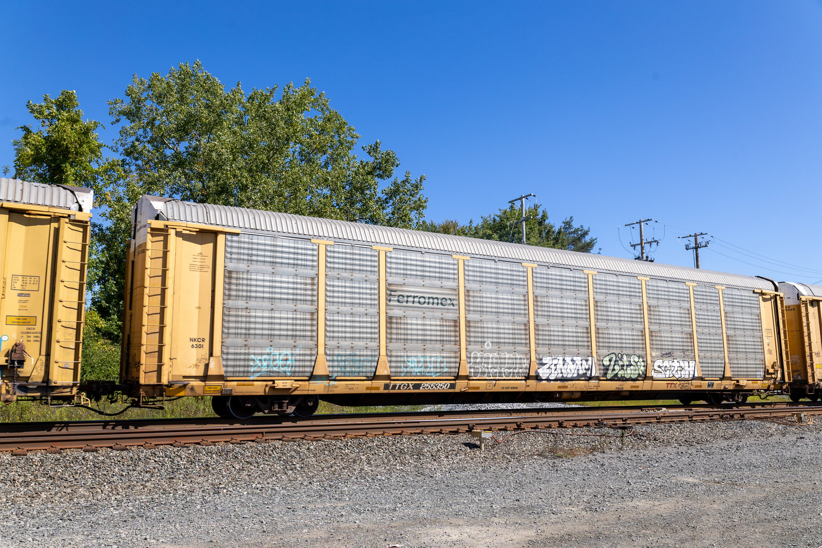 TTGX 255350