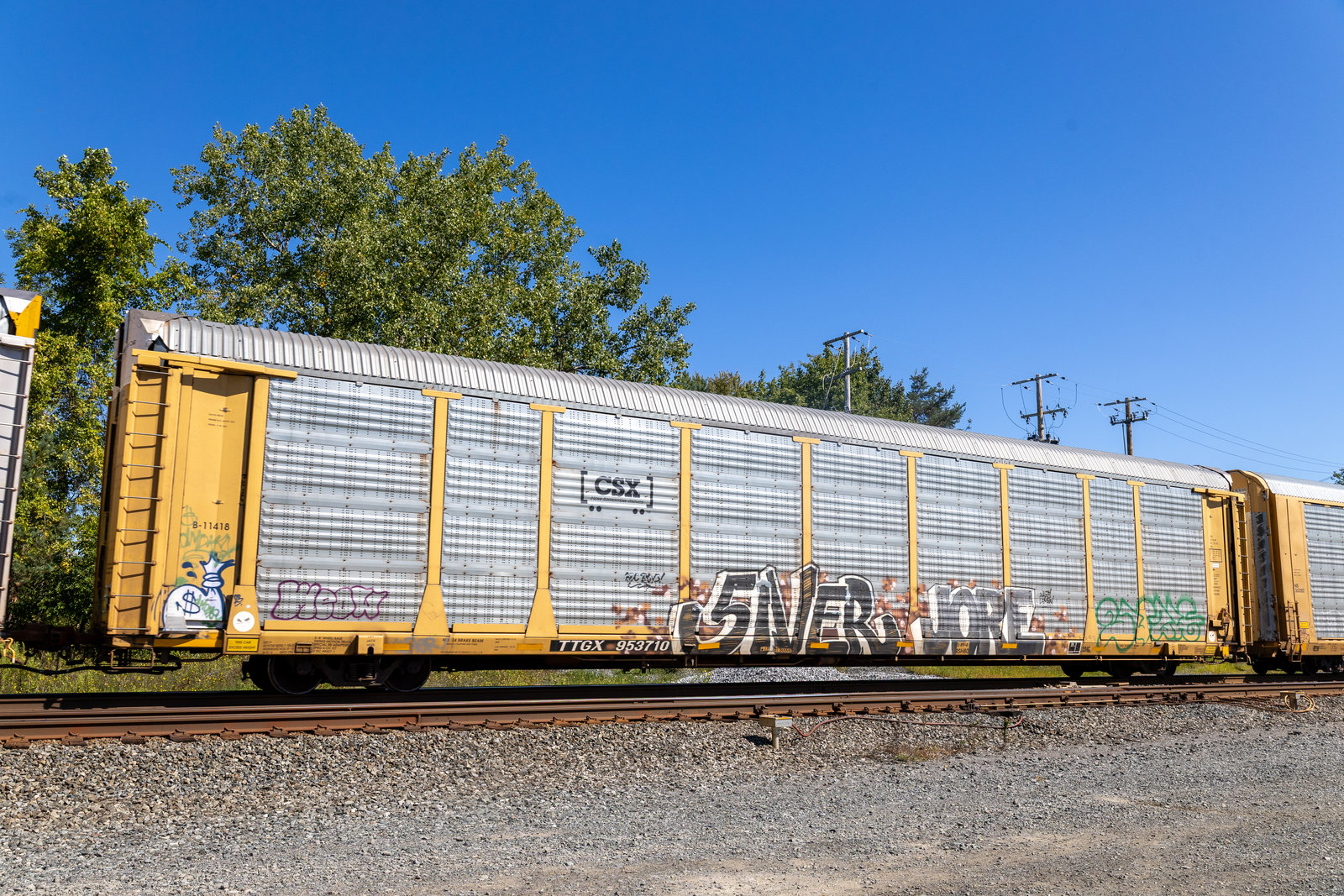 TTGX 953710