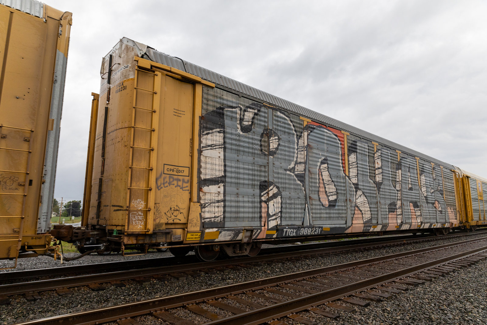 TTGX 988231