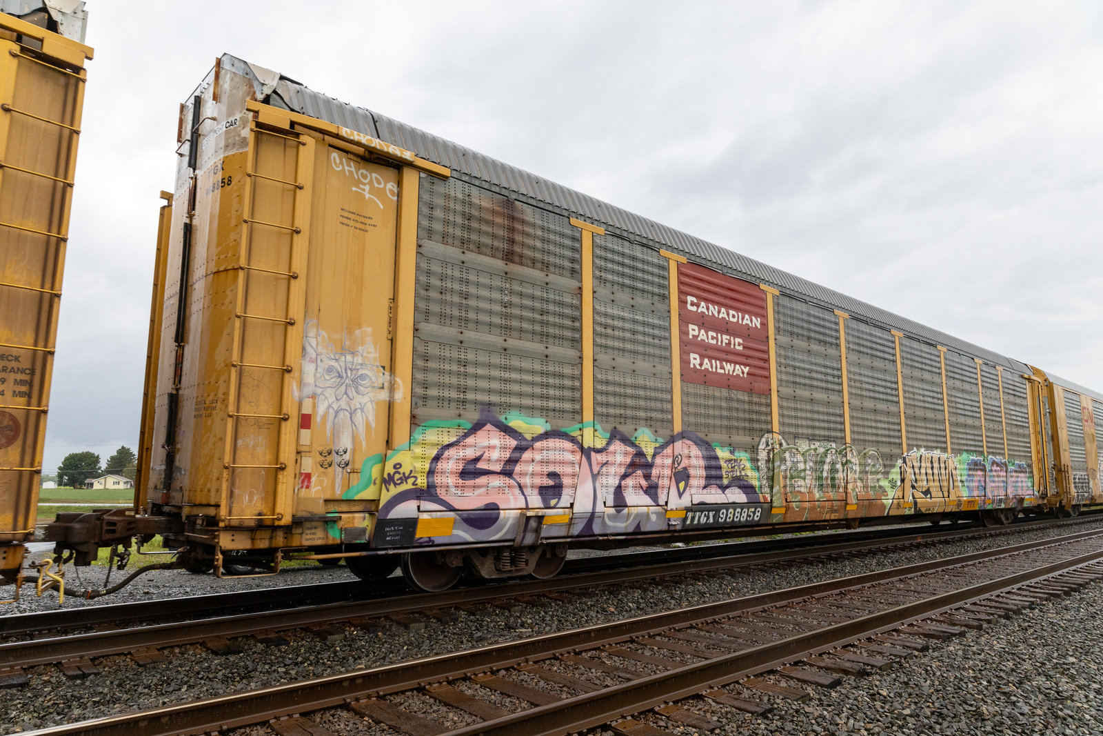 TTGX 988858