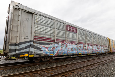 TTGX 953529