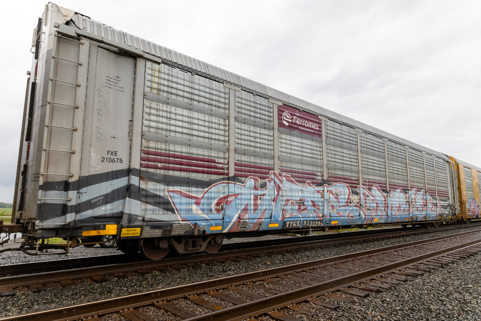 TTGX 953529
