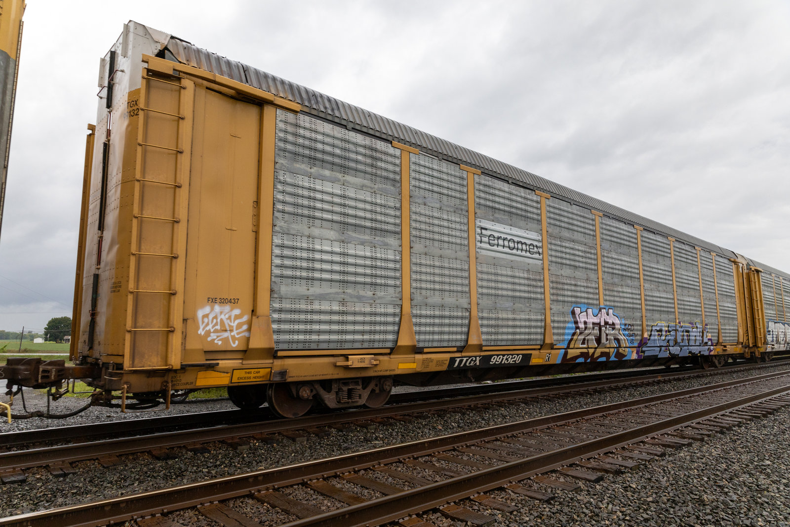 TTGX 991320