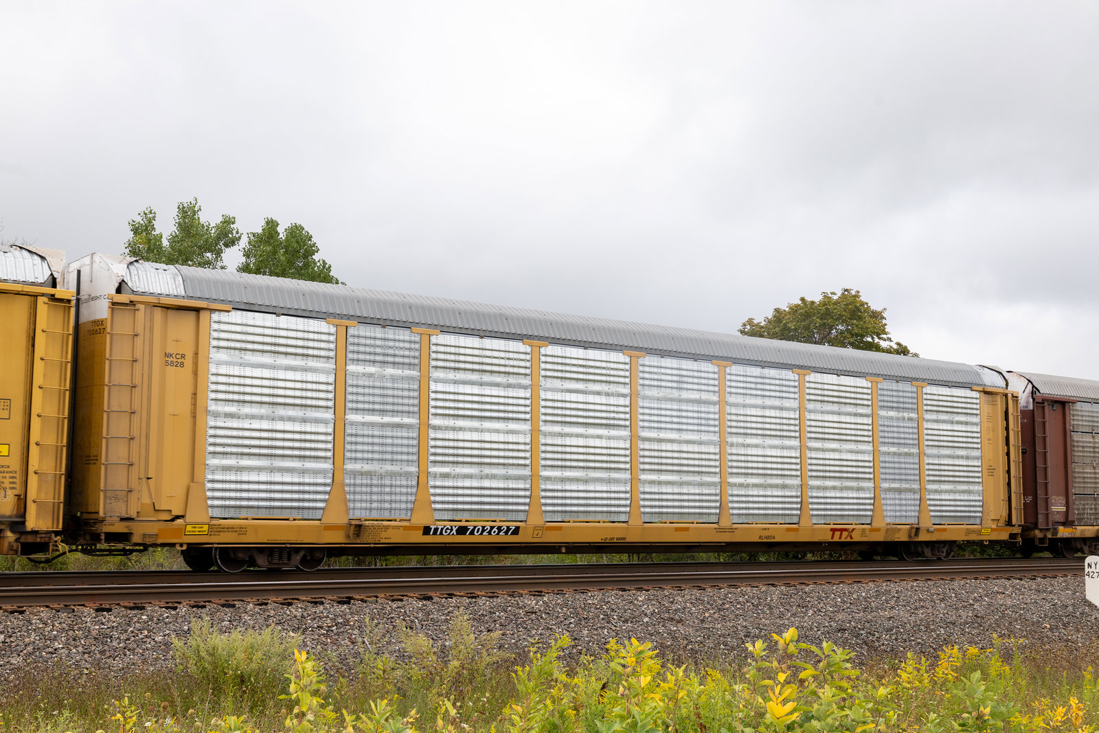TTGX 702627