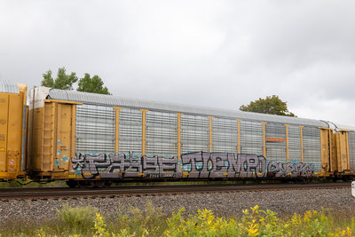 TTGX 704803