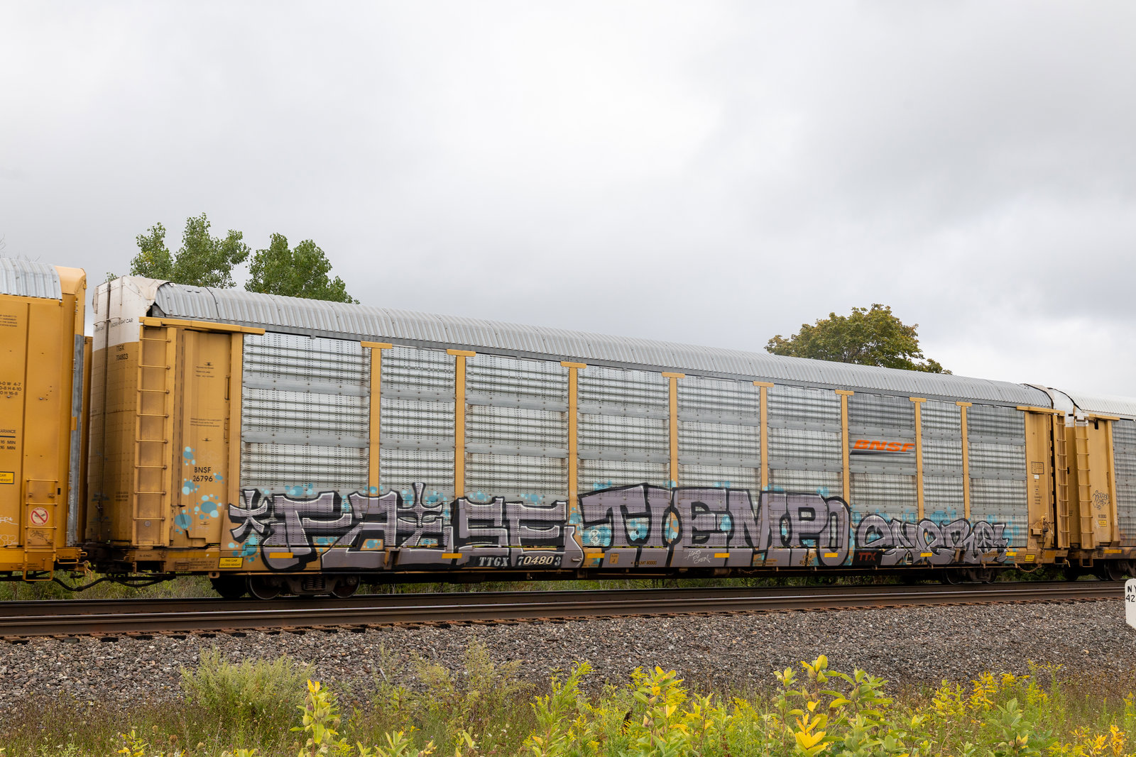 TTGX 704803