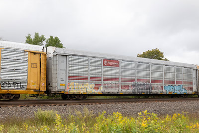 TTGX 953865
