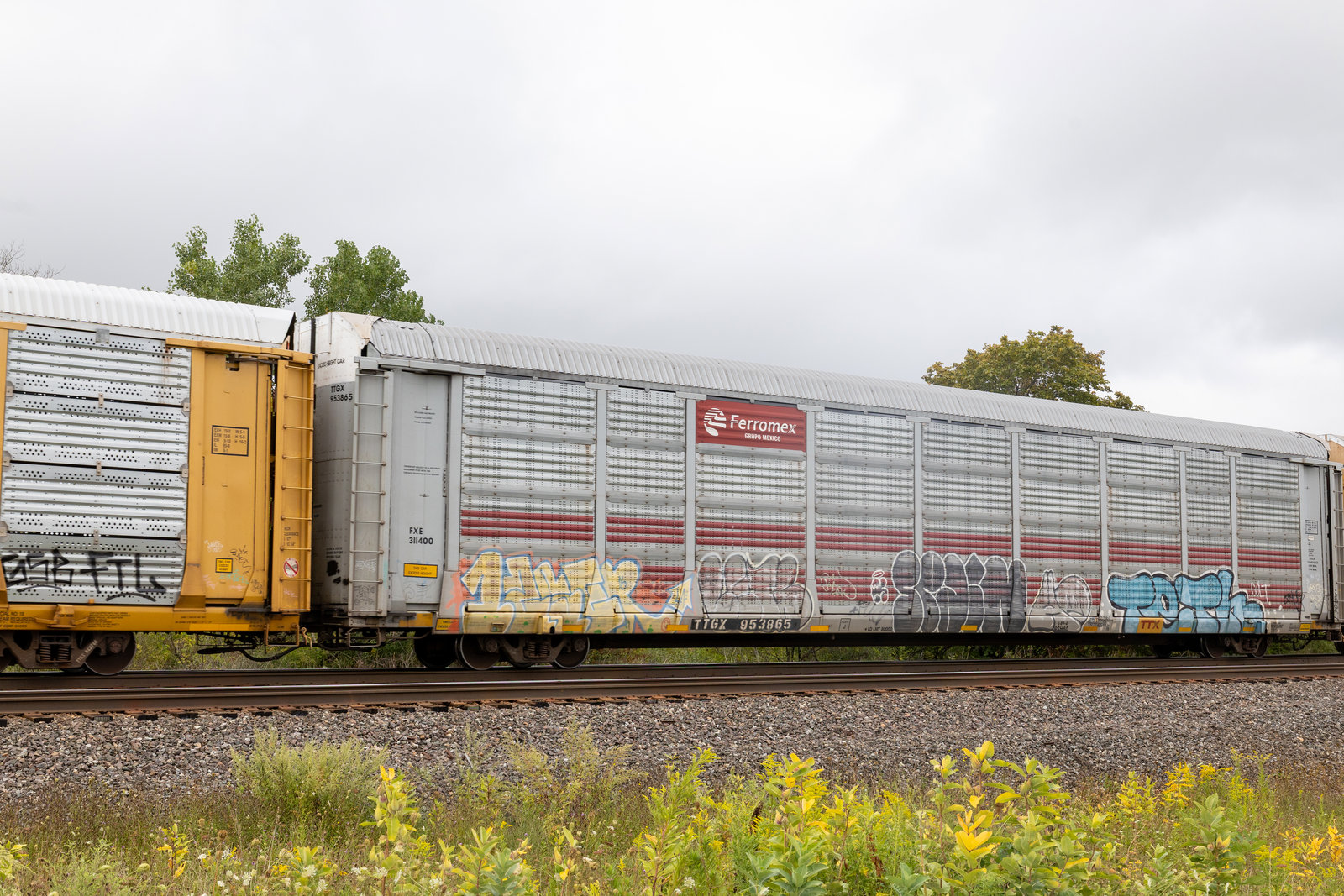 TTGX 953865