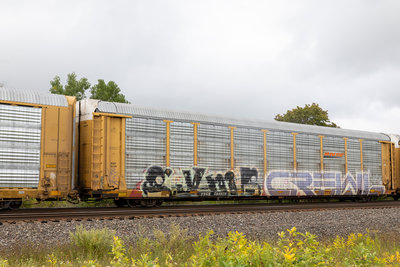 TTGX 704879