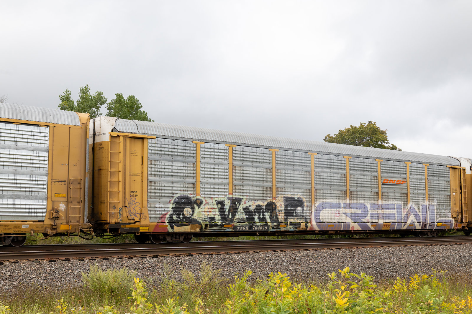 TTGX 704879