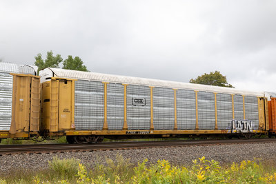 TTGX 158631