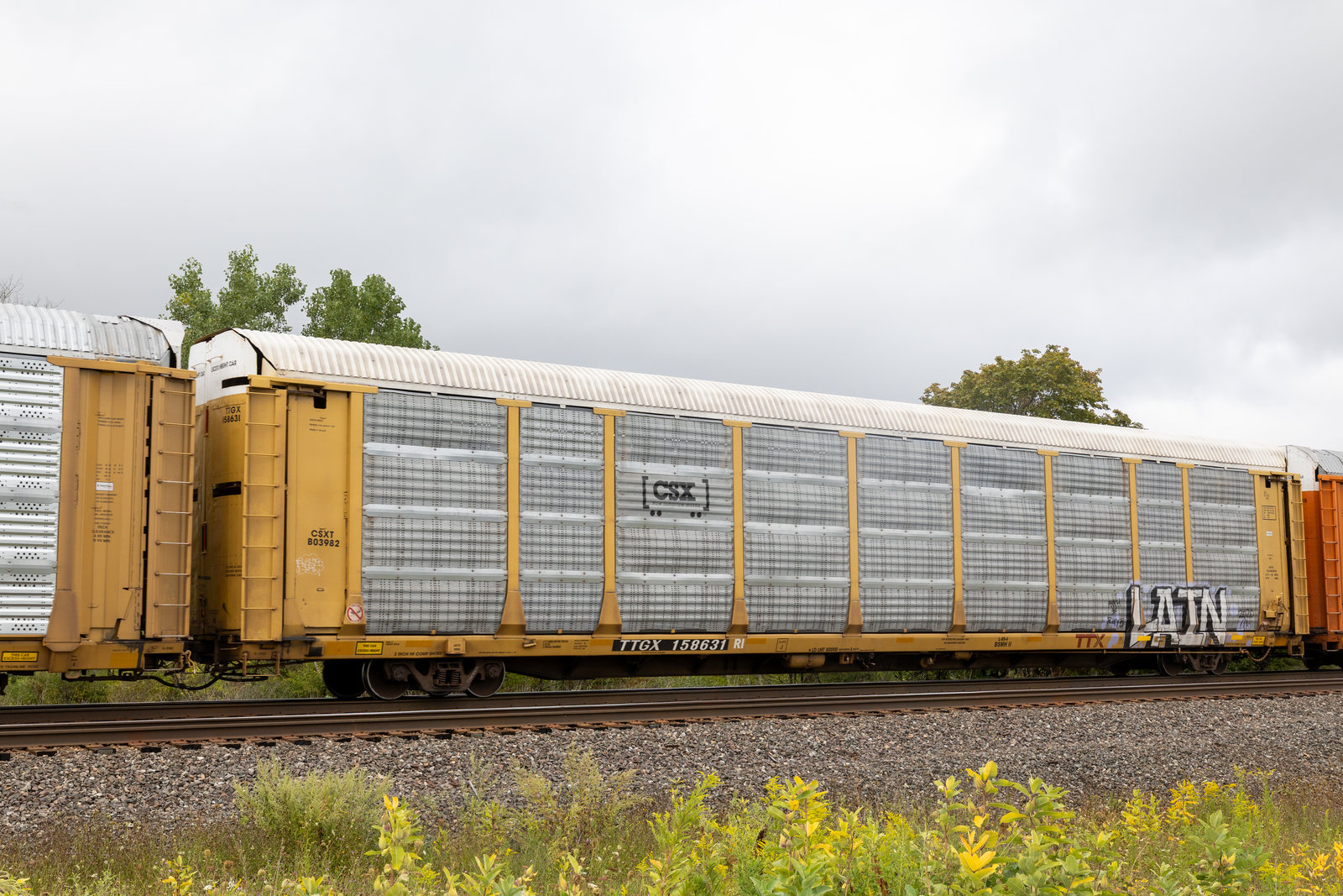 TTGX 158631