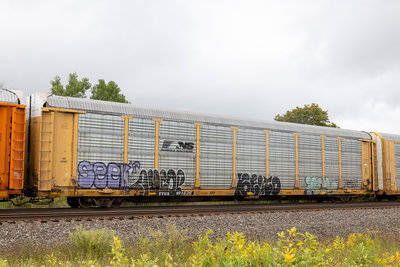 TTGX 991636