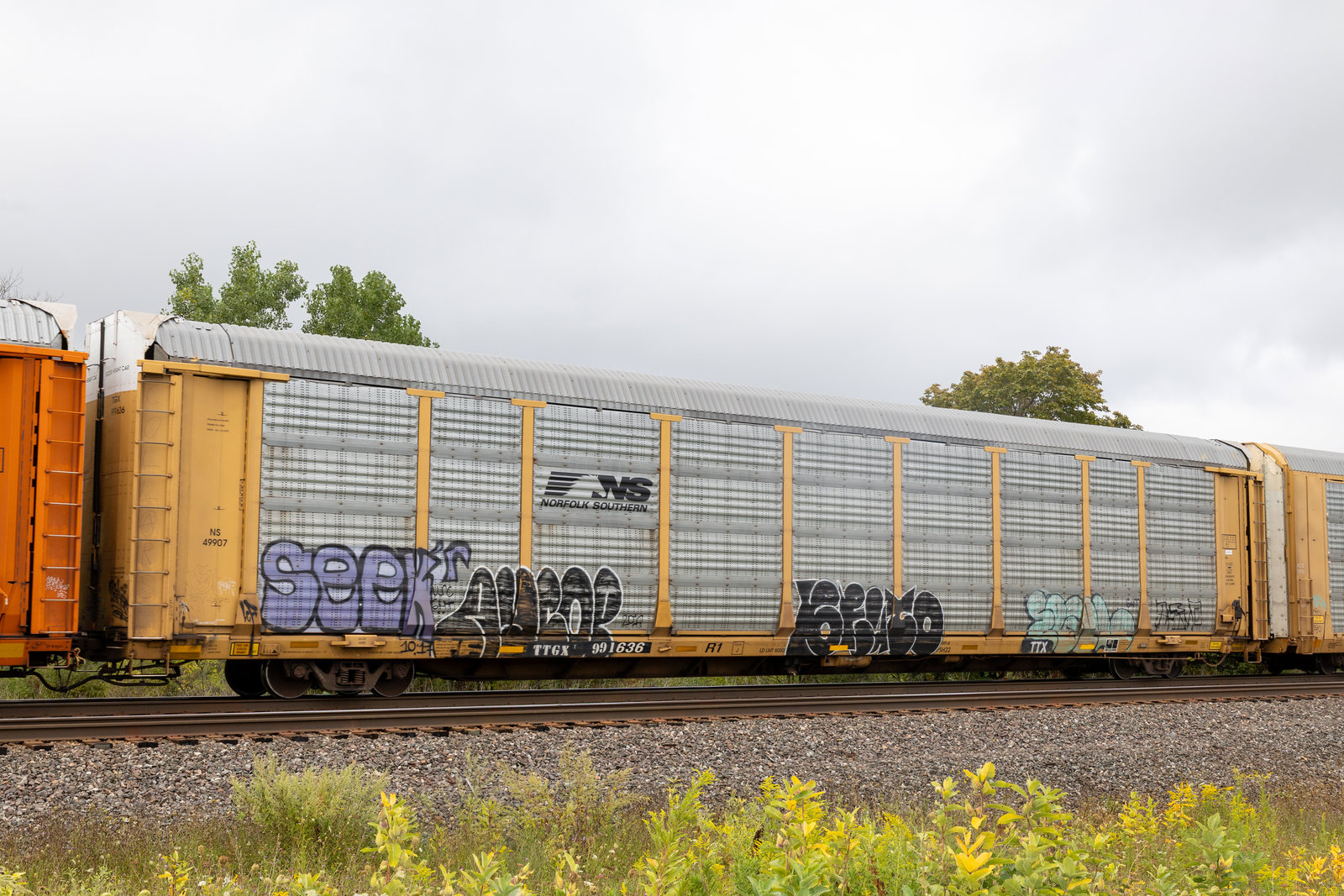 TTGX 991636