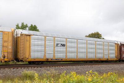 TTGX 711497