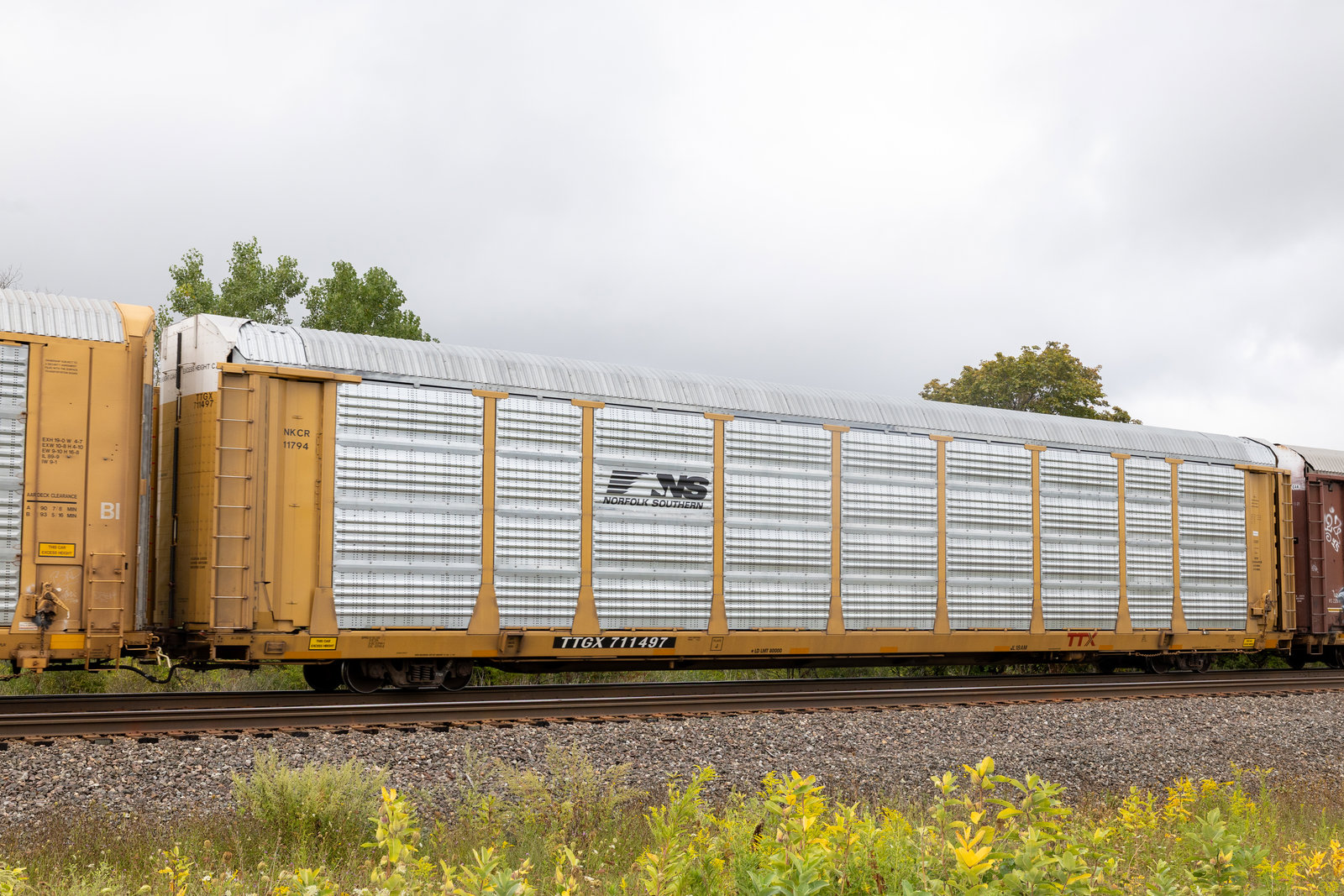 TTGX 711497