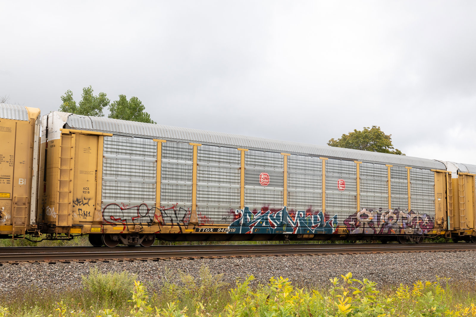 TTGX 942816