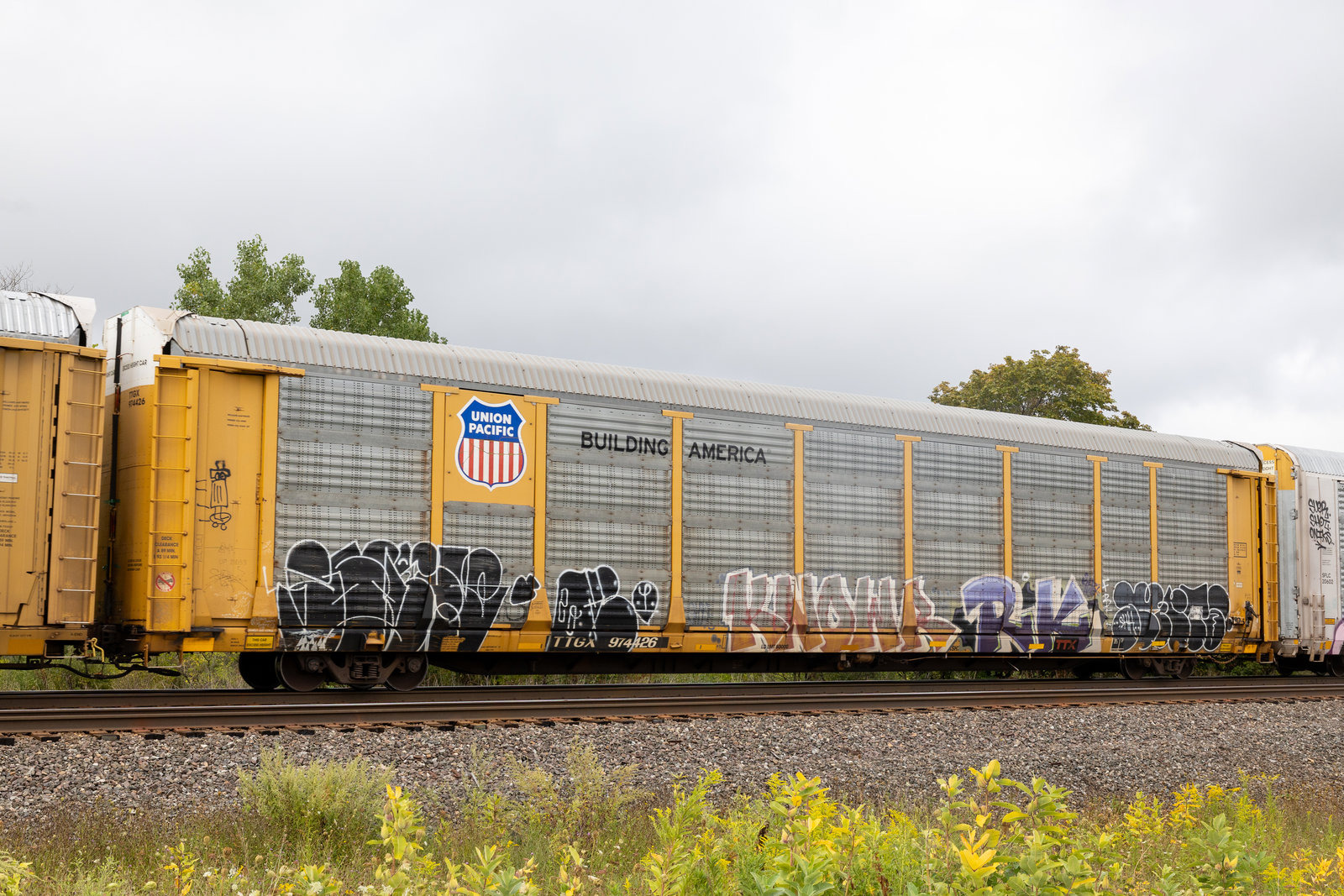 TTGX 974426