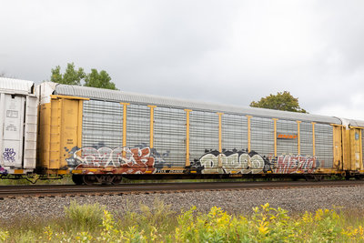 TTGX 254908