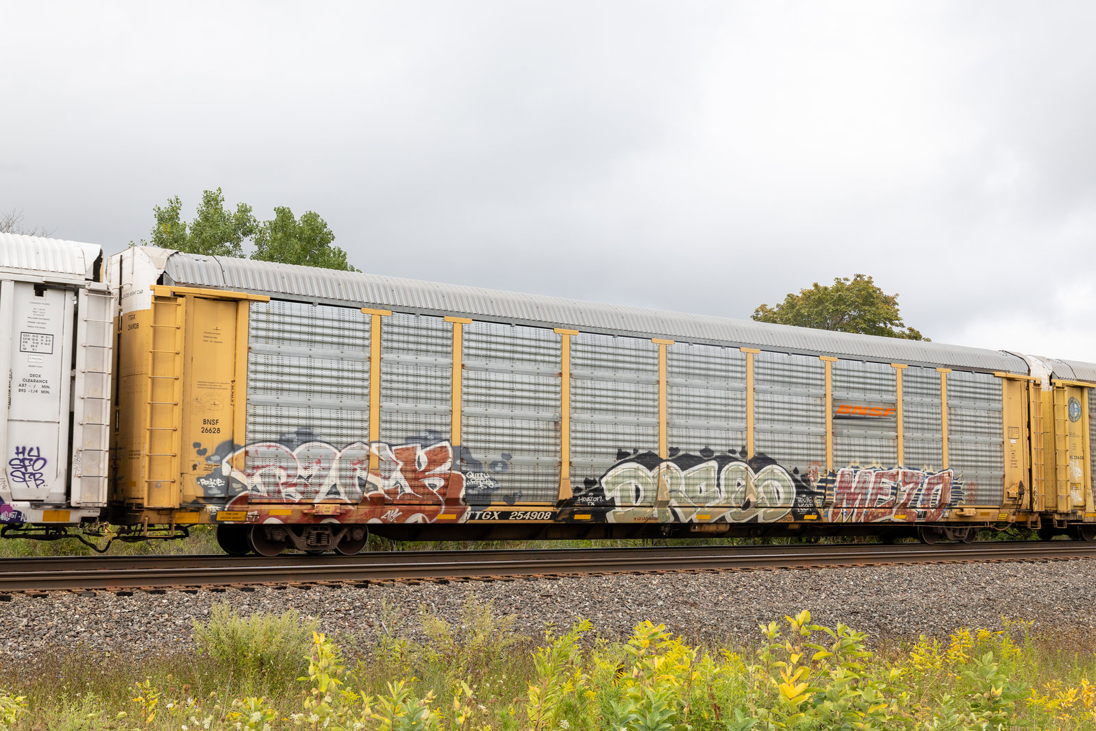 TTGX 254908