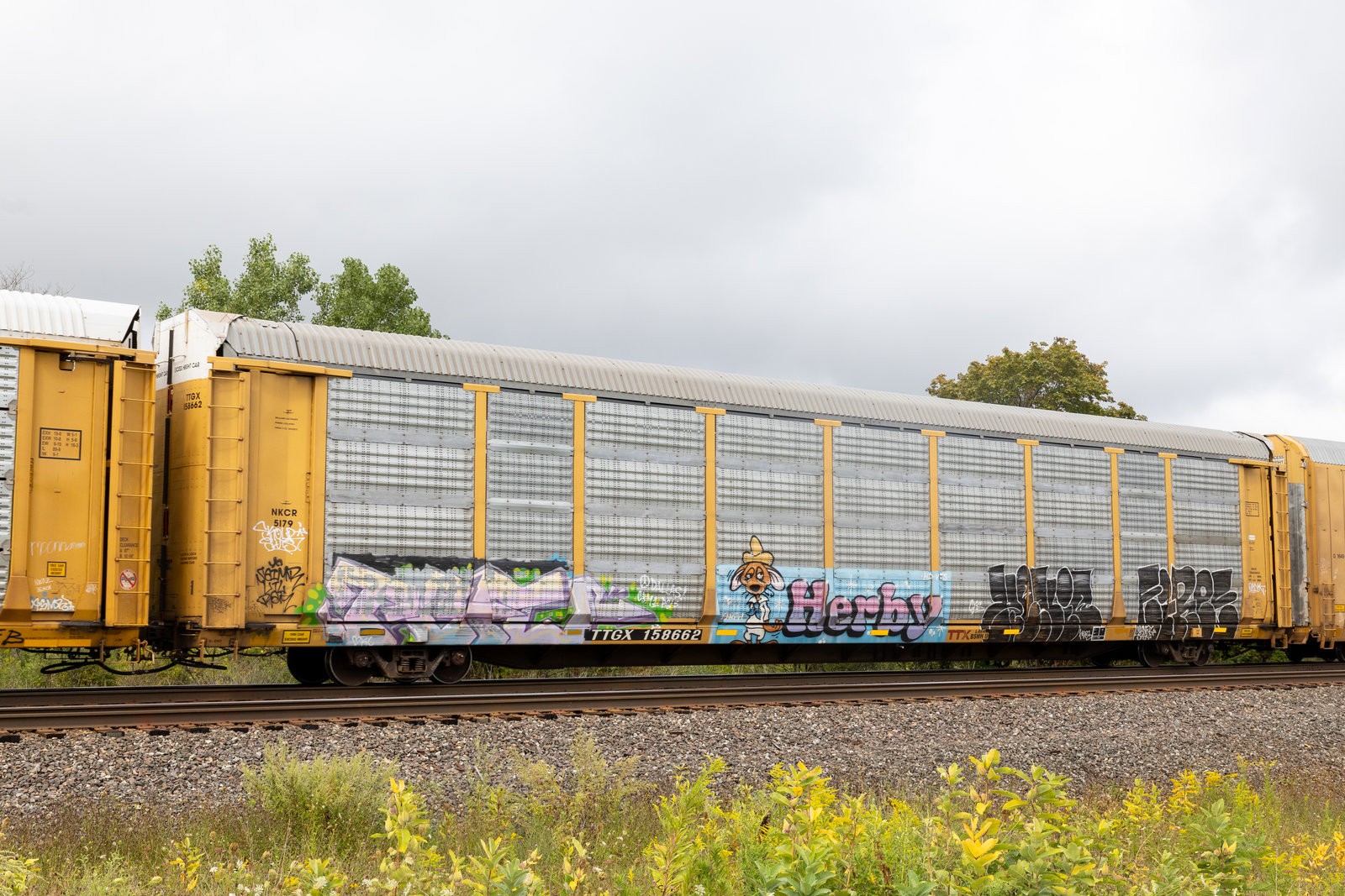 TTGX 158662