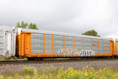 TTGX 952768