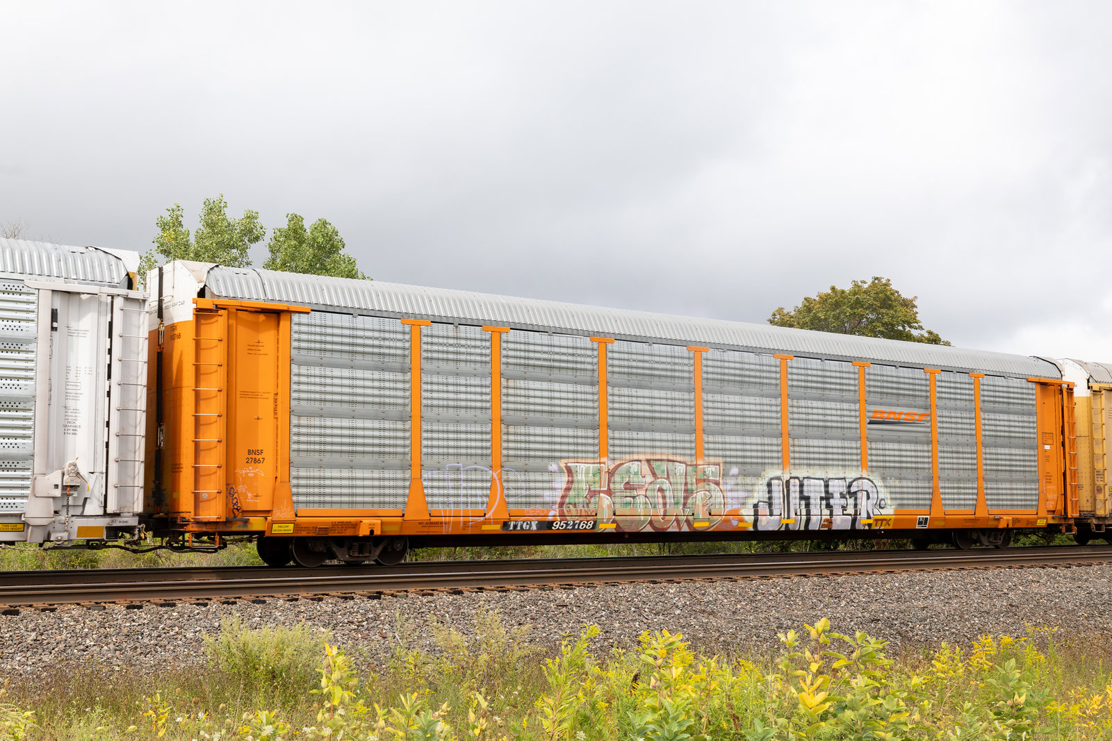 TTGX 952768