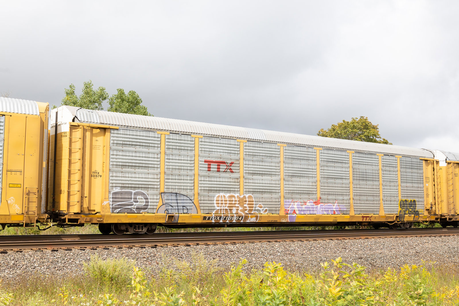 TTGX 710804