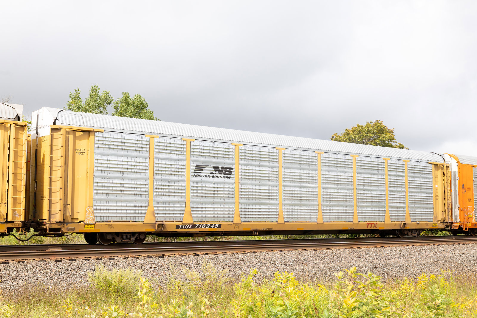 TTGX 710345