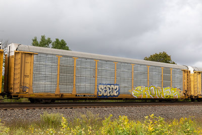 TTGX 702163
