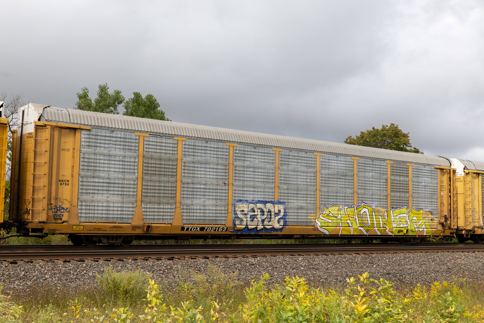 TTGX 702163