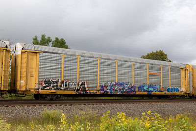 TTGX 973761