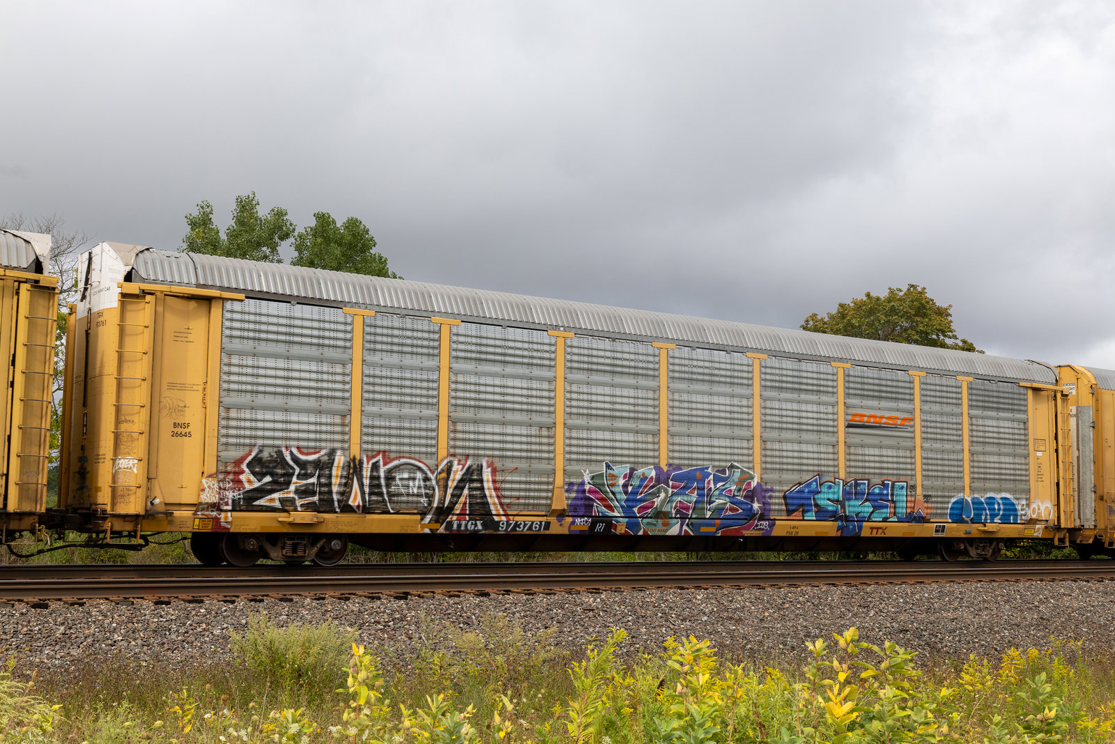 TTGX 973761