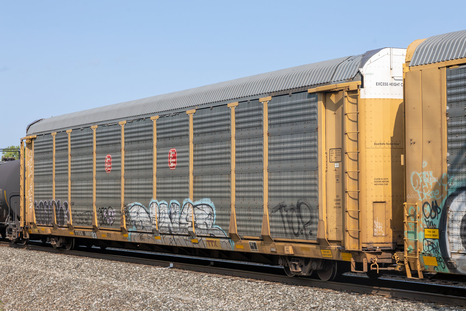 TTGX 980183