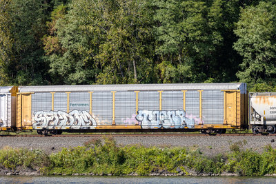TTGX 991287