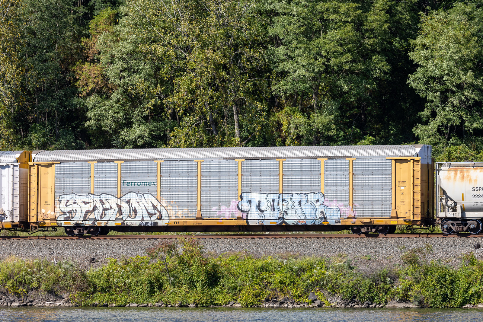 TTGX 991287