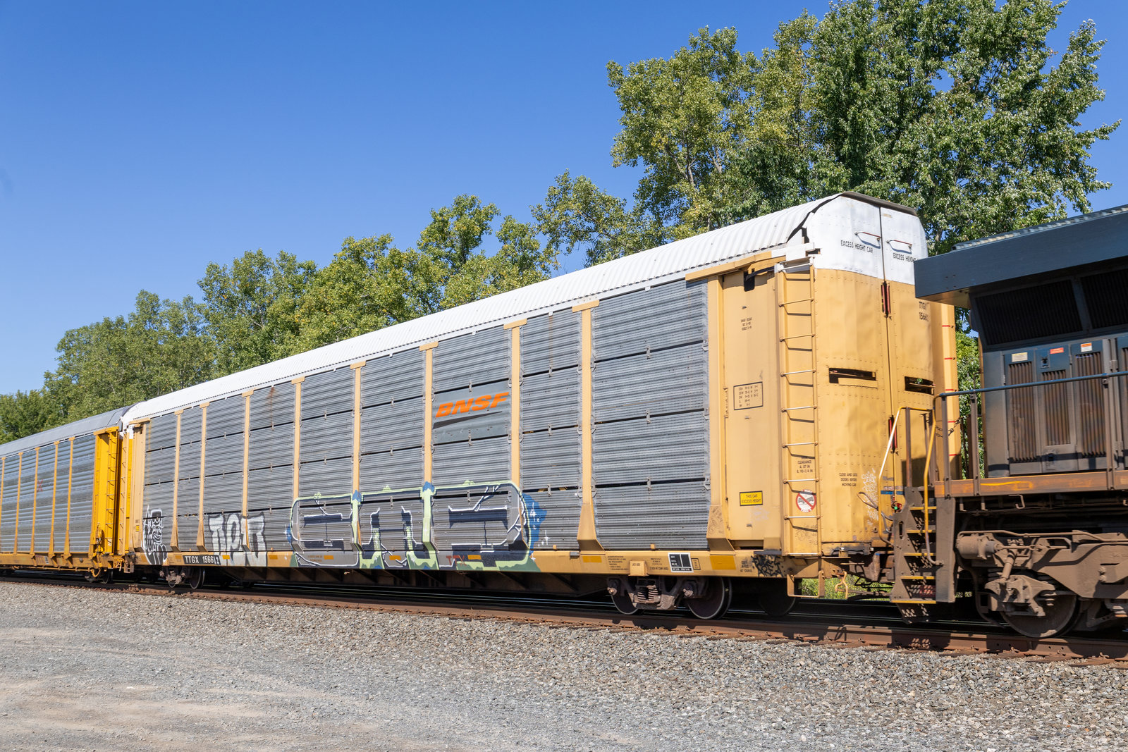 TTGX 156612