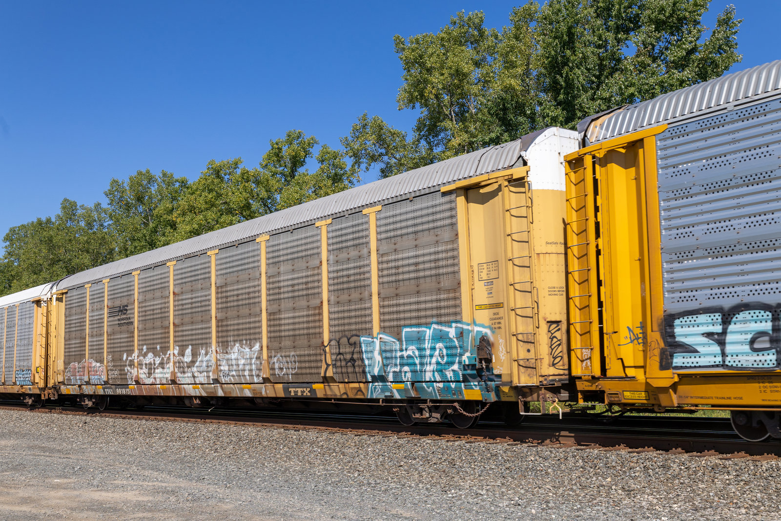 TTGX 981815