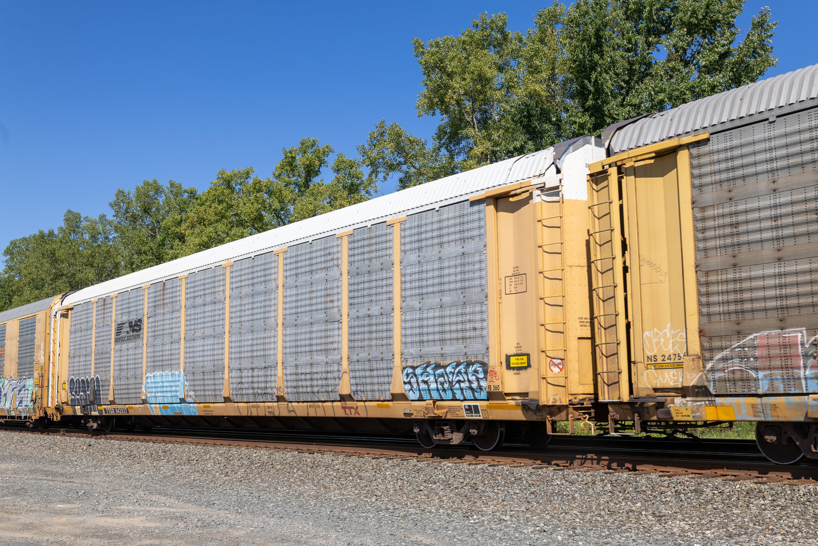 TTGX 942837