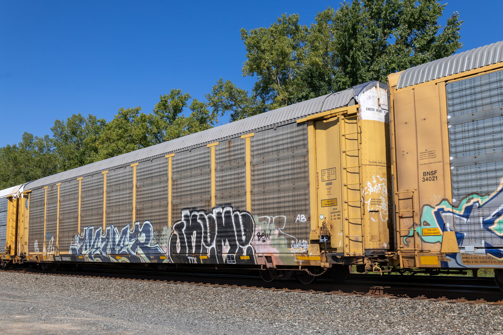 TTGX 986957