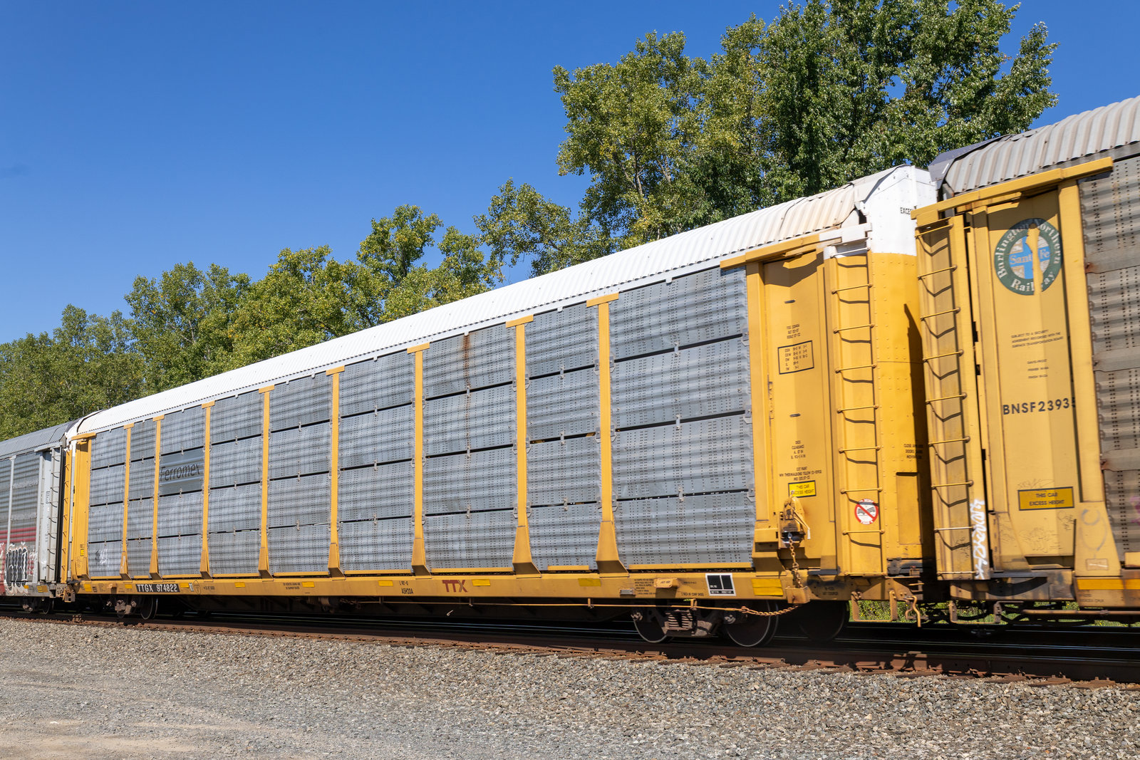 TTGX 974822