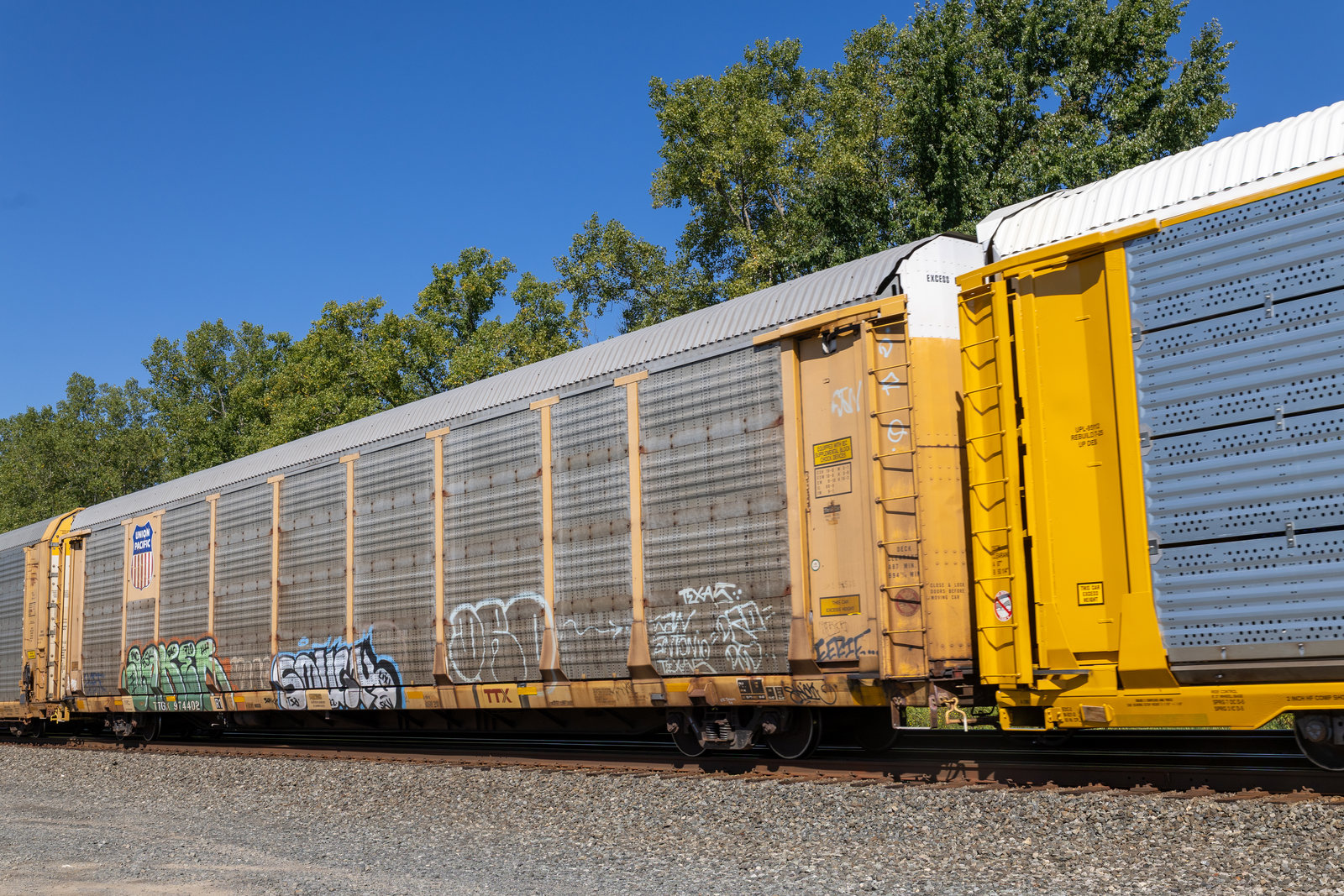 TTGX 974402