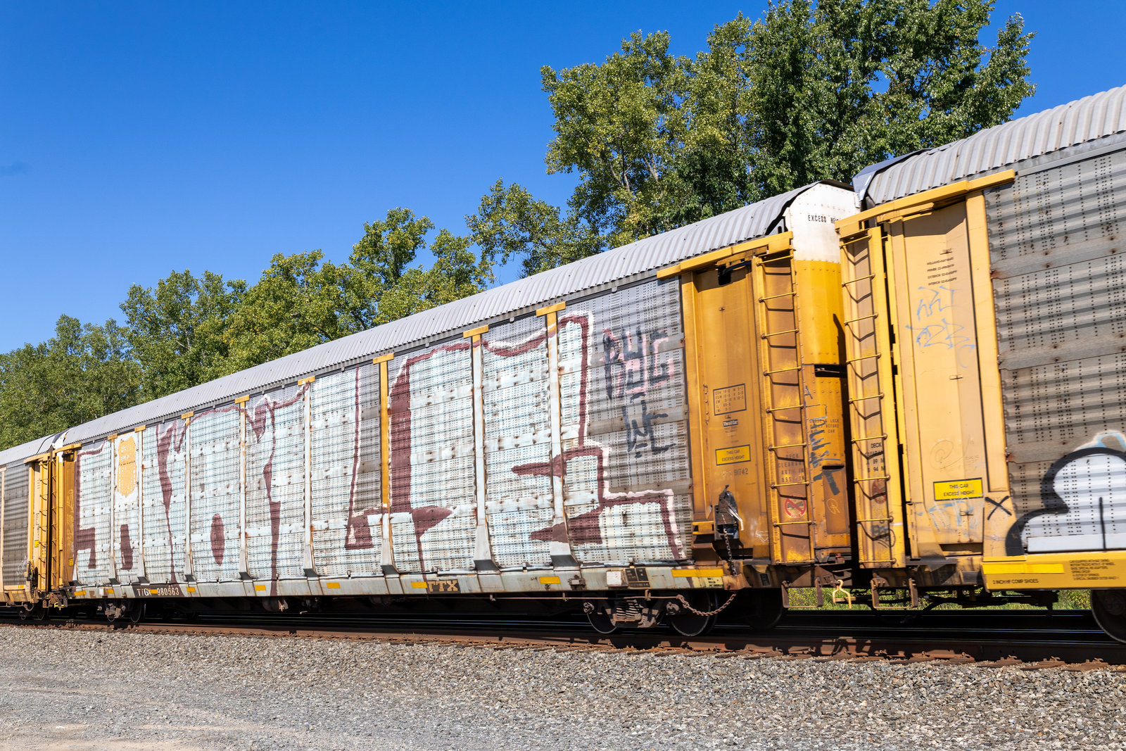 TTGX 980563